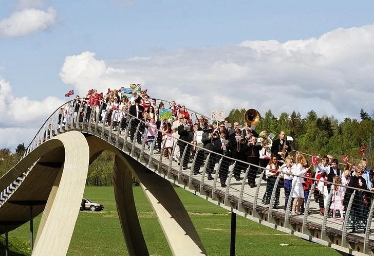 da Vinci bridge