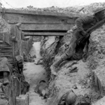 the battle of somme facts