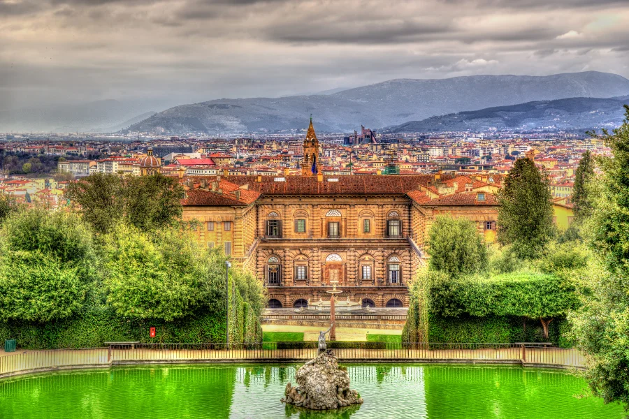 medici family definition world history