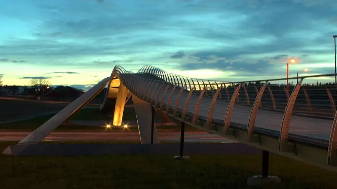 da Vinci bridge