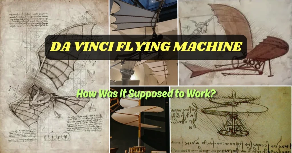da Vinci flying machine